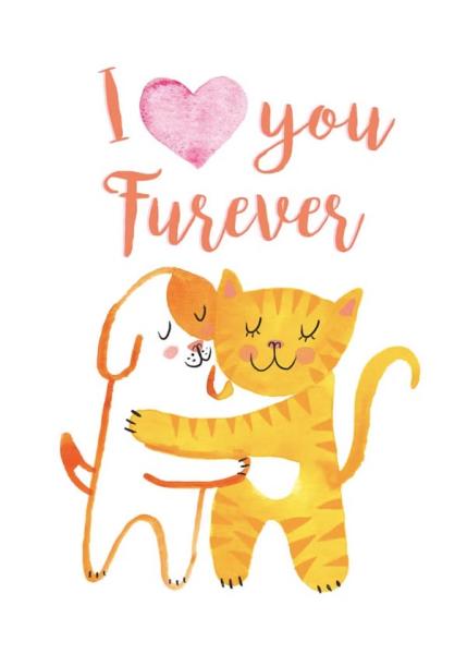 Love-Furever Love-Furever
